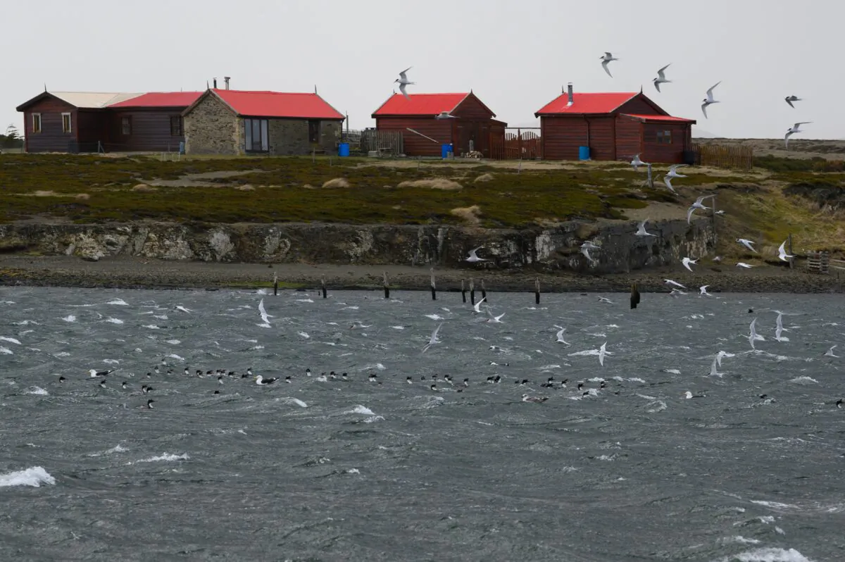 View of Darwin, Falkland Islands (Malvinas) on Oct. 10, 2019. (Pablo Porciuncula Brune/AFP via Getty Images)