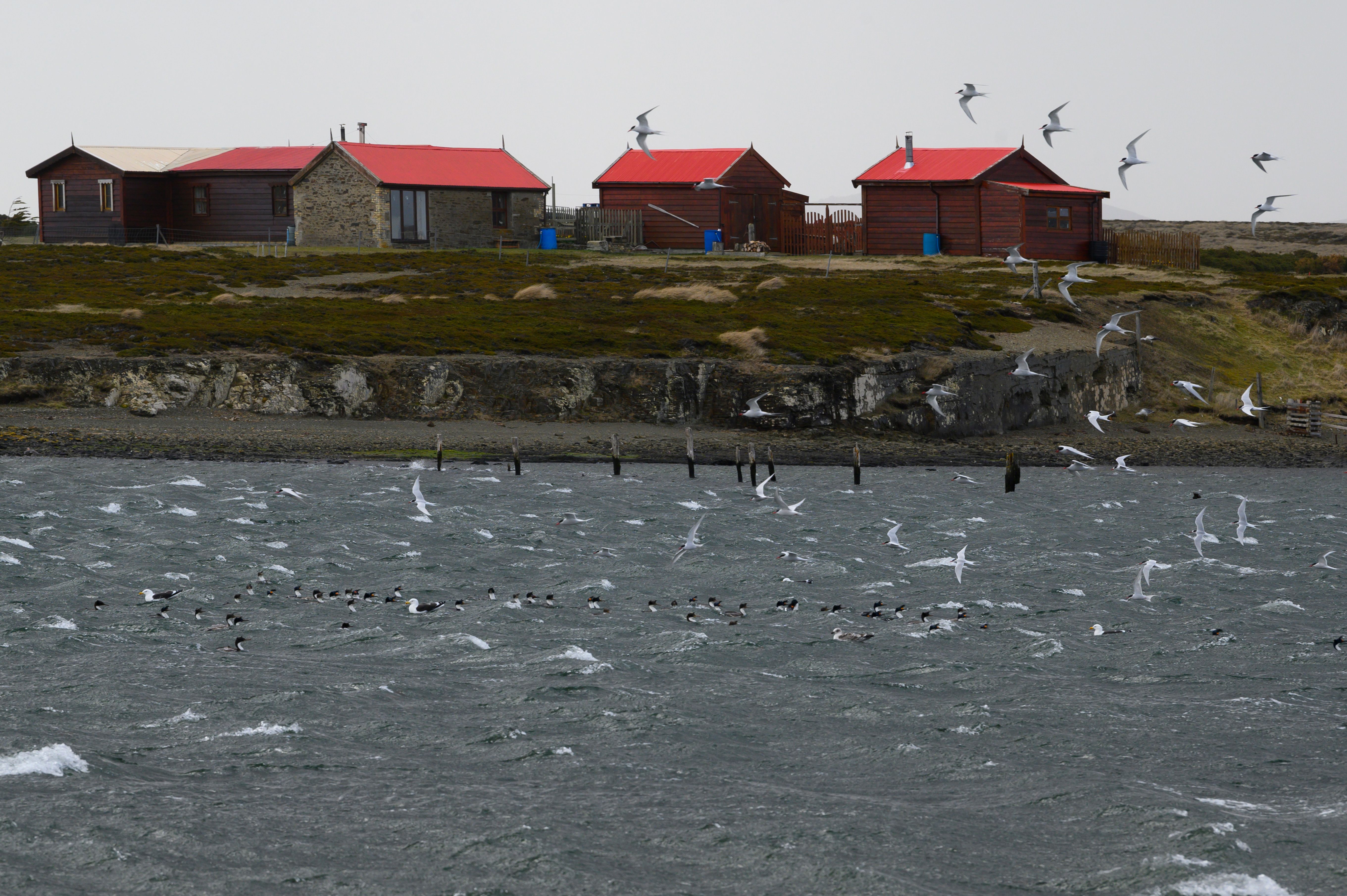 The Falklands, China, and Hypersonic Weapons - Vimarsana News