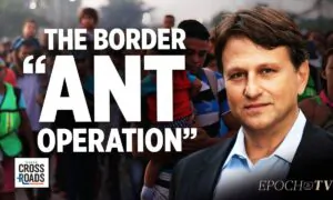 Mexico Flooded America’s Borders With Secret Human Smuggling ‘Ant Operation’: Todd Bensman
