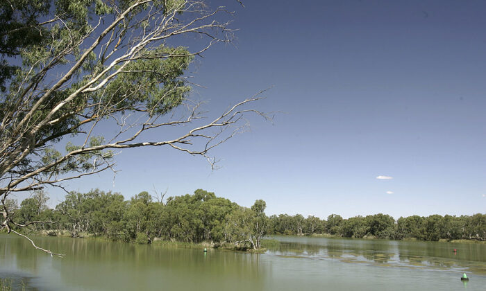 A view of the Murray - Darling Junction in Wentworth, South Australia on February 21, 2007. (Photo by Robert Cianflone/Getty Images)