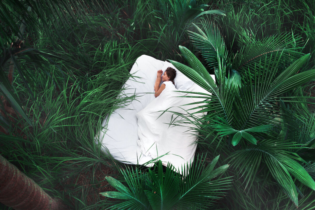 (Hlib Shabashnyi/Shutterstock)