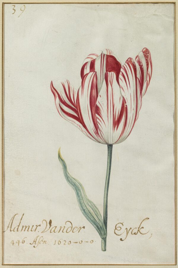 Mauritshuis
