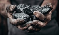 US Coal Prices Top $200 as World’s Energy Desperation Intensifies Ahead of Winter