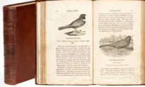 Unique Literary Treasure Trove to Be Shared With the Public for the First Time in Almost a Century