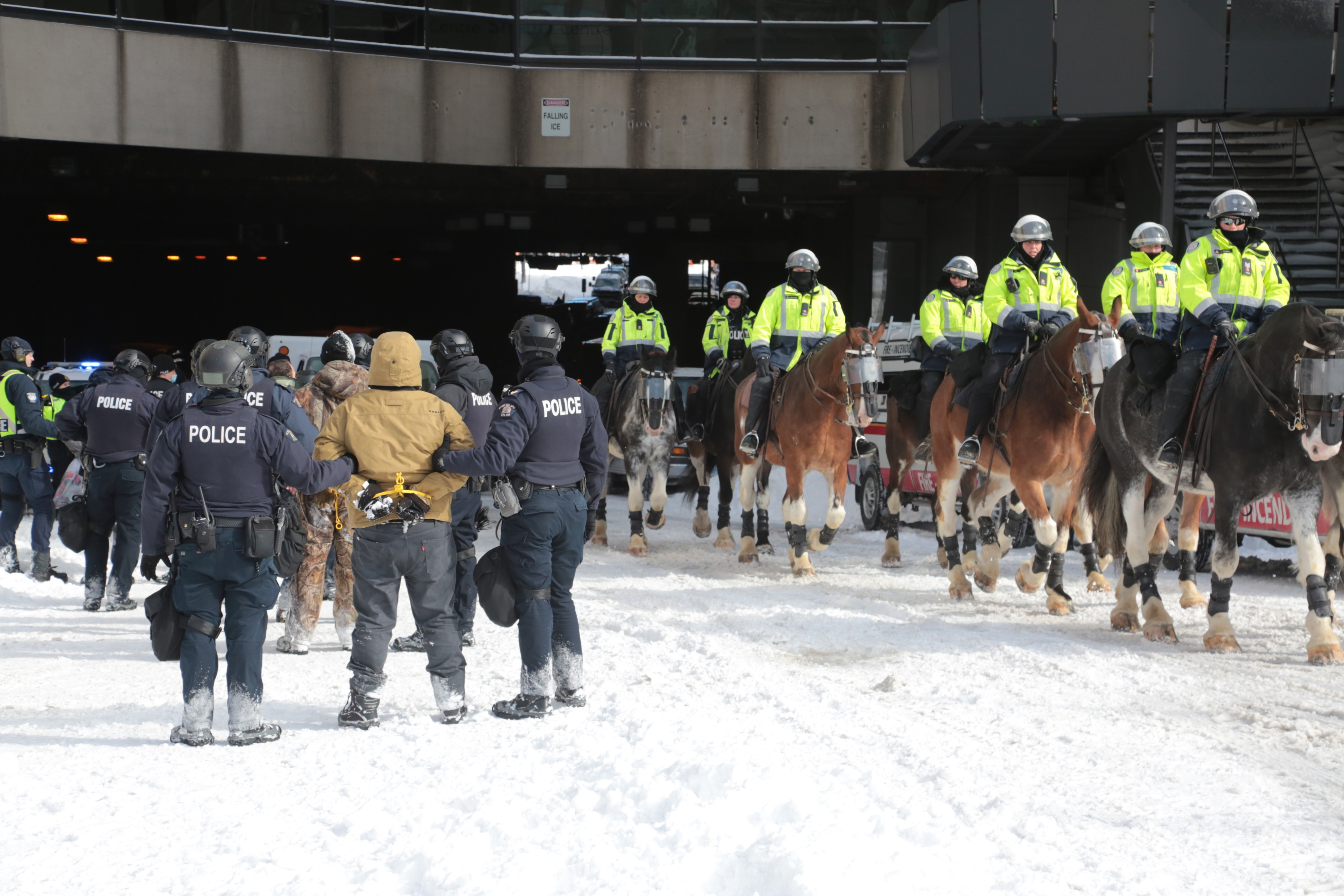 Investigation Into Ottawa Horse Trampling Incident Closed as Injury Deemed Not Serious - Vimarsana News
