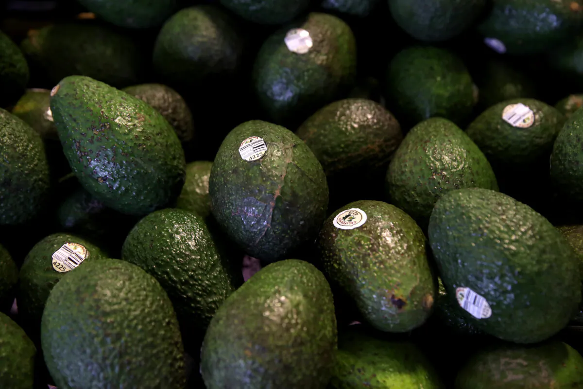 Avocados are displayed at a produce market in San Francisco, Calif., on April 2, 2019. (Justin Sullivan/Getty Images)