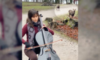 VIDEO: Pair of Deer Enchanted by Cellist’s Music Wander Up to Hear Her Playing Bach in the Park—And Go Viral