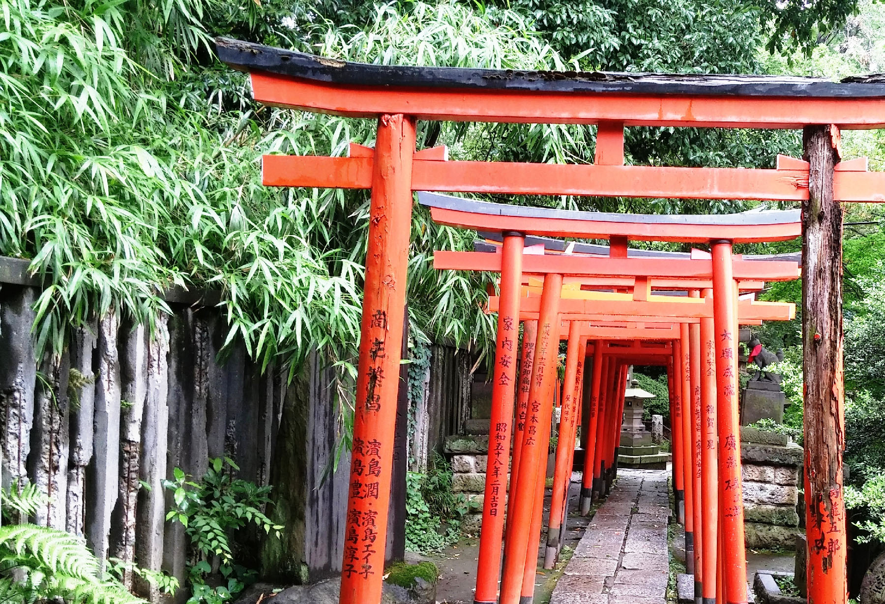 Walk Japan to Explore the Soul of a Country - Vimarsana News