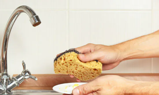 Why Your Kitchen Sponge Is so Gross