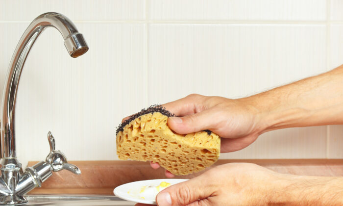 Why Your Kitchen Sponge Is So Gross The Epoch Times