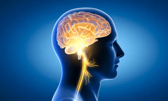 8 Natural Ways to Improve Vagus Nerve Function