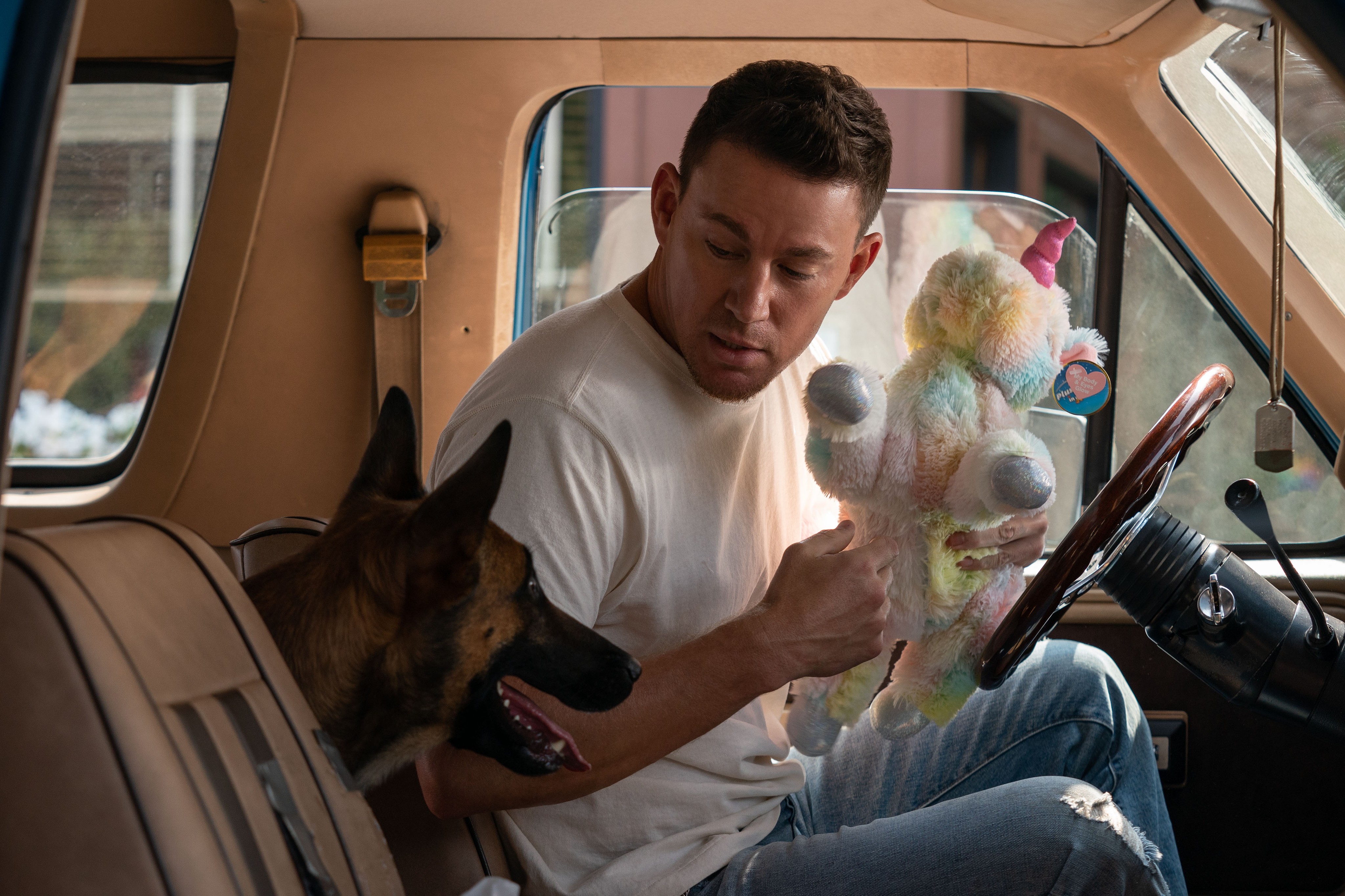 man and dog in truck in DOG