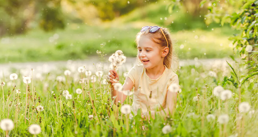Spending time in nature lessens anxiety and improves brain function.(Tatyana Vyc/Shutterstock)