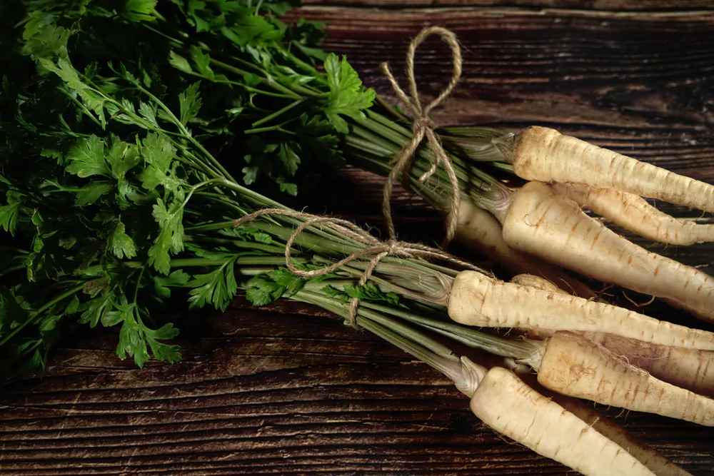 This lesser-known root vegetable deserves more love. (Lubo Ivanko/Shutterstock)