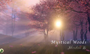 A Stroll through the Mystical Woods with Birds Chirping and a River Flowing in the Background