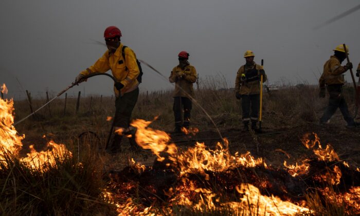 Firefighters create a fire in order to stop a column of fire in Santo Tome, Corrientes Province, Argentina, on Feb. 20, 2022. (Rodrigo Abd/AP Photo)