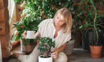 A Better Work-Life Balance: Time Management Strategies for the ‘New Normal’