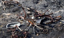 ‘Catastrophe’: Firefighters, Volunteers Battle Blazes in Argentina’s North