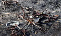 ‘Catastrophe’: Firefighters, Volunteers Battle Blazes in Argentina’s North