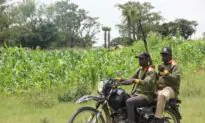Nigeria’s Civilian Guards Run Toward Danger When Terrorists Attack