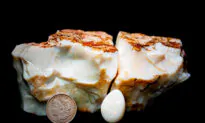 Alaskan Miner Sells Giant 12,000 Carat Opal Bigger Than a Brick for Nearly $144,000 at Auction