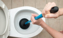 How to Unclog a Toilet—Quick and Easy!