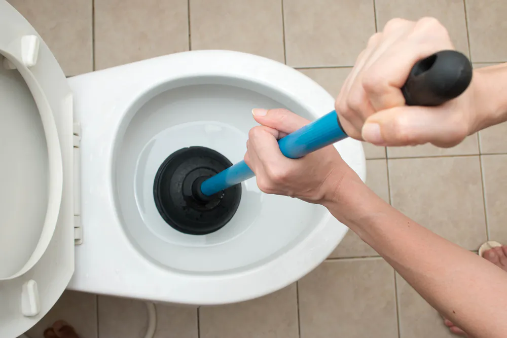Sounds pretty basic, but a plunger really is the best option for how to unclog a toilet. (Jones M/Shutterstock)