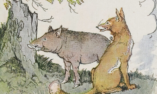 Aesop’s Fables: The Wild Boar and the Fox