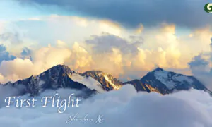 A Bird Takes Its First Flight, Soaring Through Clouds and Over Valleys | Musical Moments
