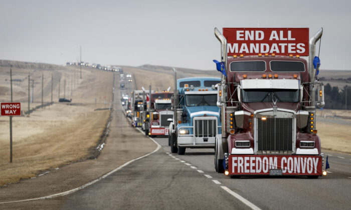 Protesters in a truck convoy leave the Canada-U.S. border crossing after demonstrating against COVID-19 mandates for over two weeks, in Coutts, Alberta, on Feb. 15, 2022. (Jeff McIntosh/The Canadian Press)