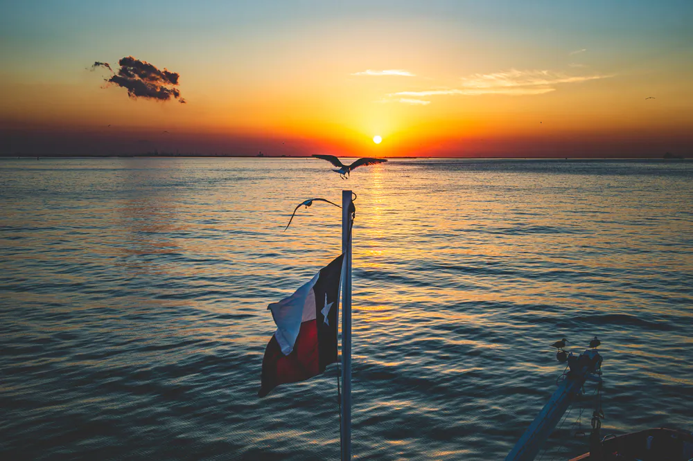A seagull lands on a flagpole during sunset along the Bolivar Peninsula in Galveston, Texas. (ksnyd_10/ Shuttersock)