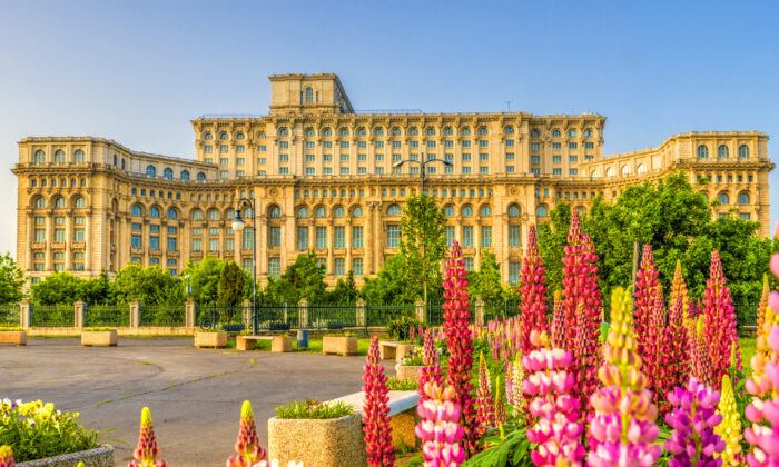 Romanians Gear Up for Presidential Election—Here Are the Candidates and Key Issues thumbnail