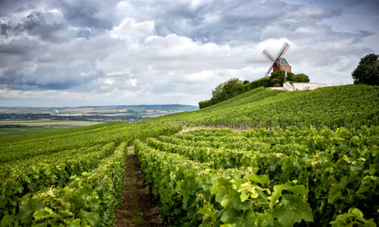 What’s in a Name? When It Comes to Wine, a Lot