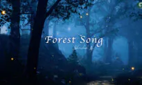 Adventures Through the Mysterious Forest | Musical Moments
