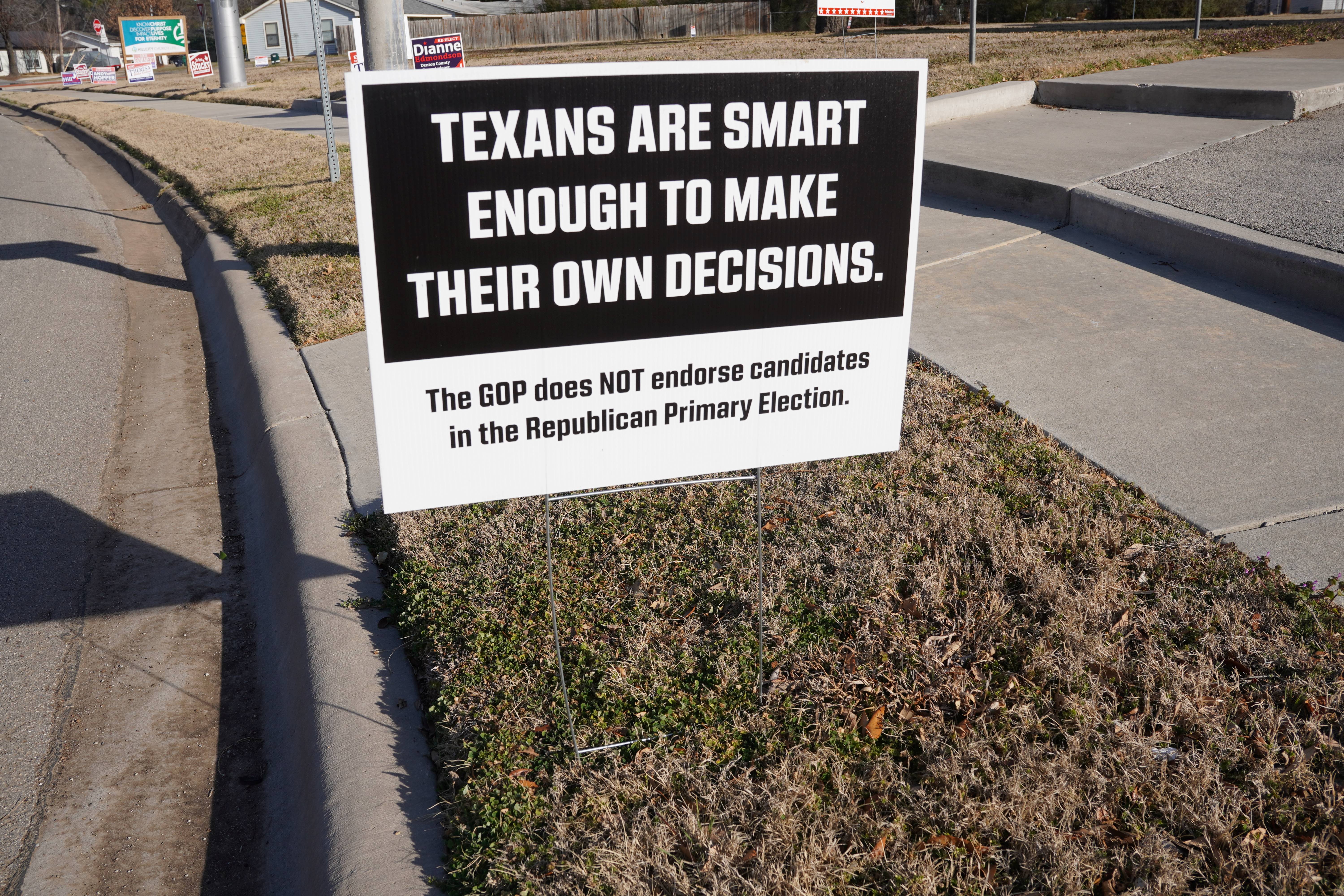 'Civic Duty' Motivation for Those Who Voted in Texas Primaries - Vimarsana News