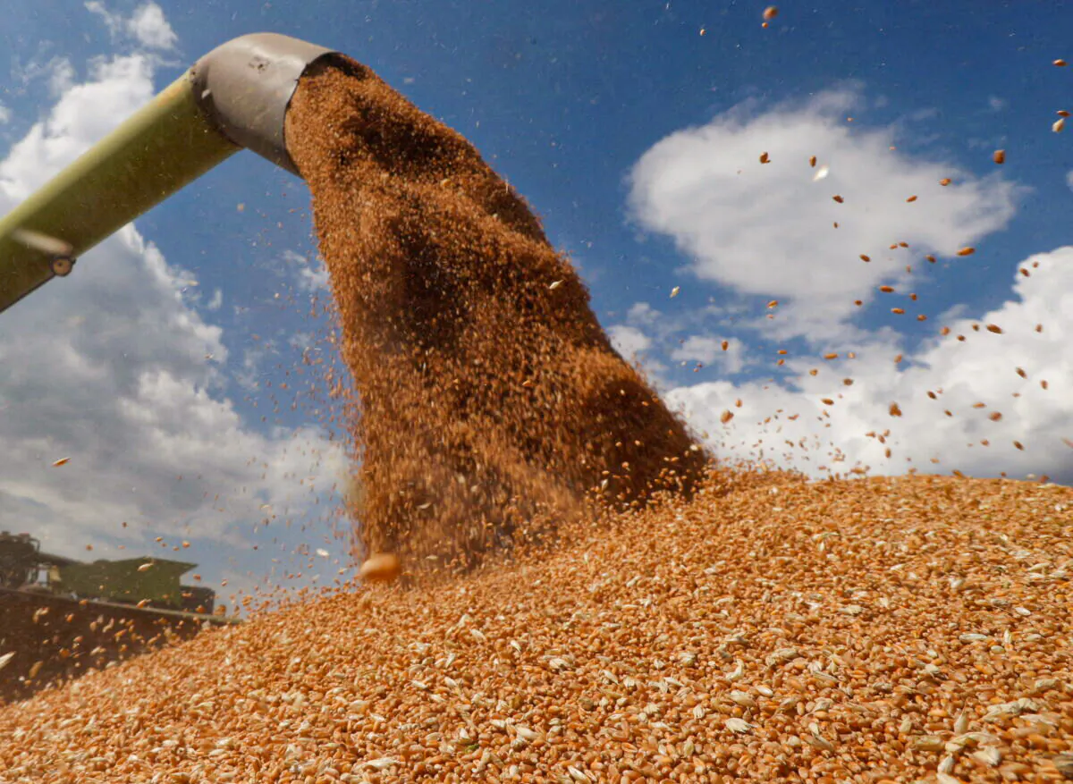 A combine harvester loads a truck with wheat in a field near the village of Hrebeni in Kyiv region, Ukraine, on July 17, 2020. (Valentyn Ogirenko/Reuters)