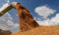 Global Fertilizer Supply Is At Risk Due To Dependence on Russia, Says Norwegian Fertilizer Producer