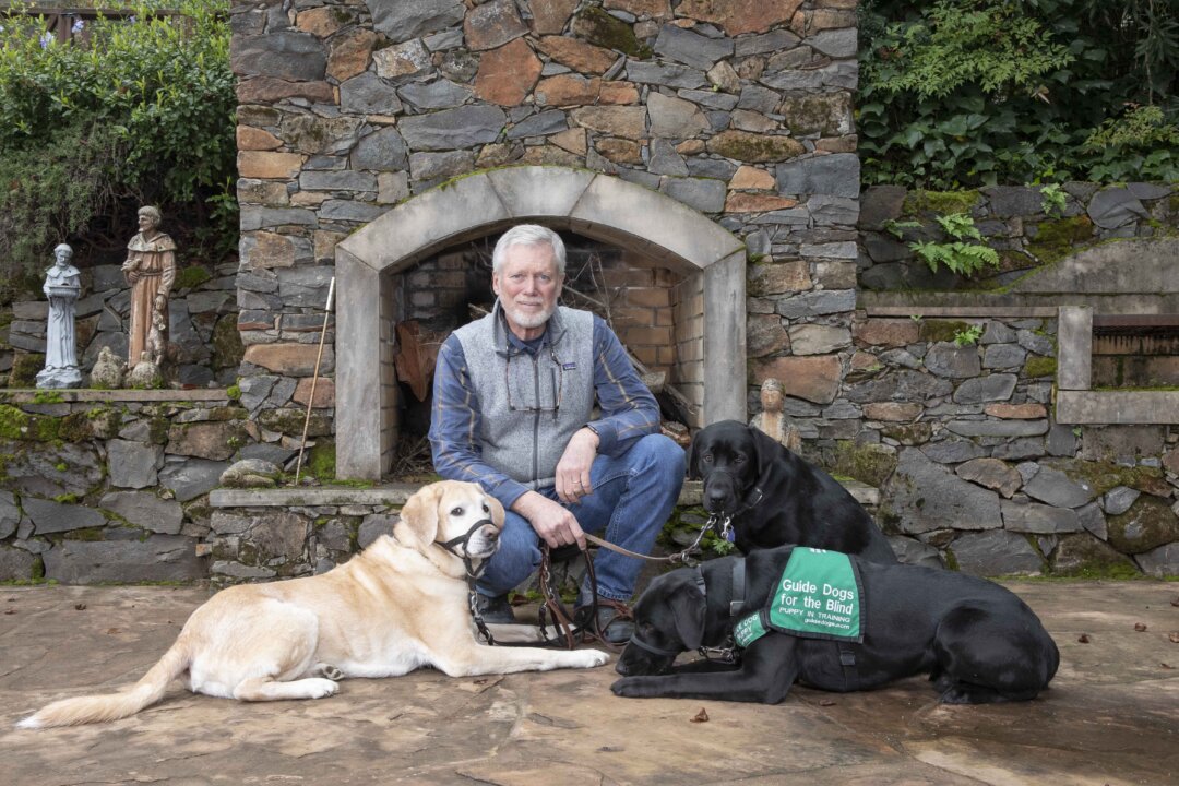 Jeff Scharfen with guide dog trainees Jepson (the yellow lab), Newton, and Spartan (in the green vest). (Kim White for American Essence)