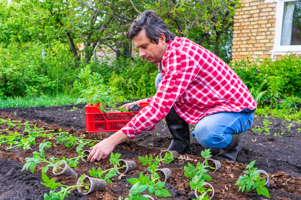 Tips for Starting Your First Organic Vegetable Garden