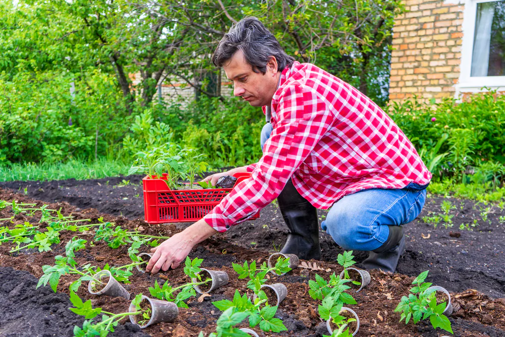 With a little planning and preparation, you can have your very own organic garden. (Shutterstock)