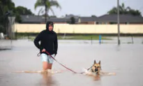 Half a Million Australians Under Emergency Flood Evacuation Orders or Warnings
