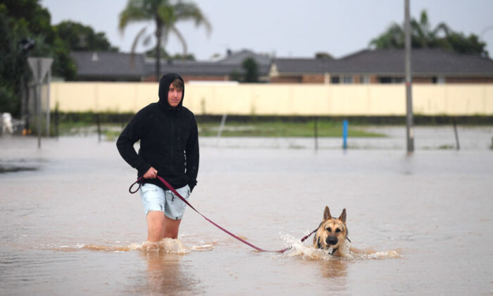 A man walks his dog through a flooded street in Ballina, Australia, on March 3, 2022. (Dan Peled/Getty Images)