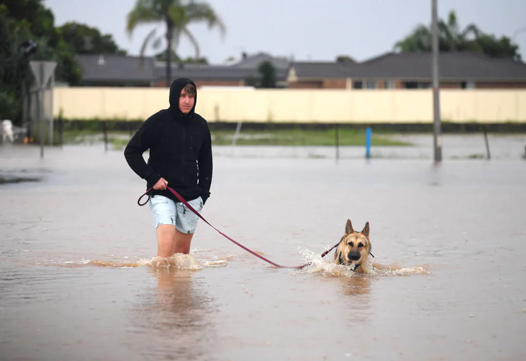 A man walks his dog through a flooded street in Ballina, Australia, on March 3, 2022. (Dan Peled/Getty Images)