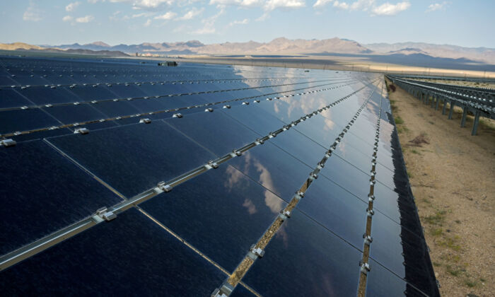 Solar panels at the Desert Stateline project near Nipton, Calif., on Aug. 16, 2021. (REUTERS/Bridget Bennett)