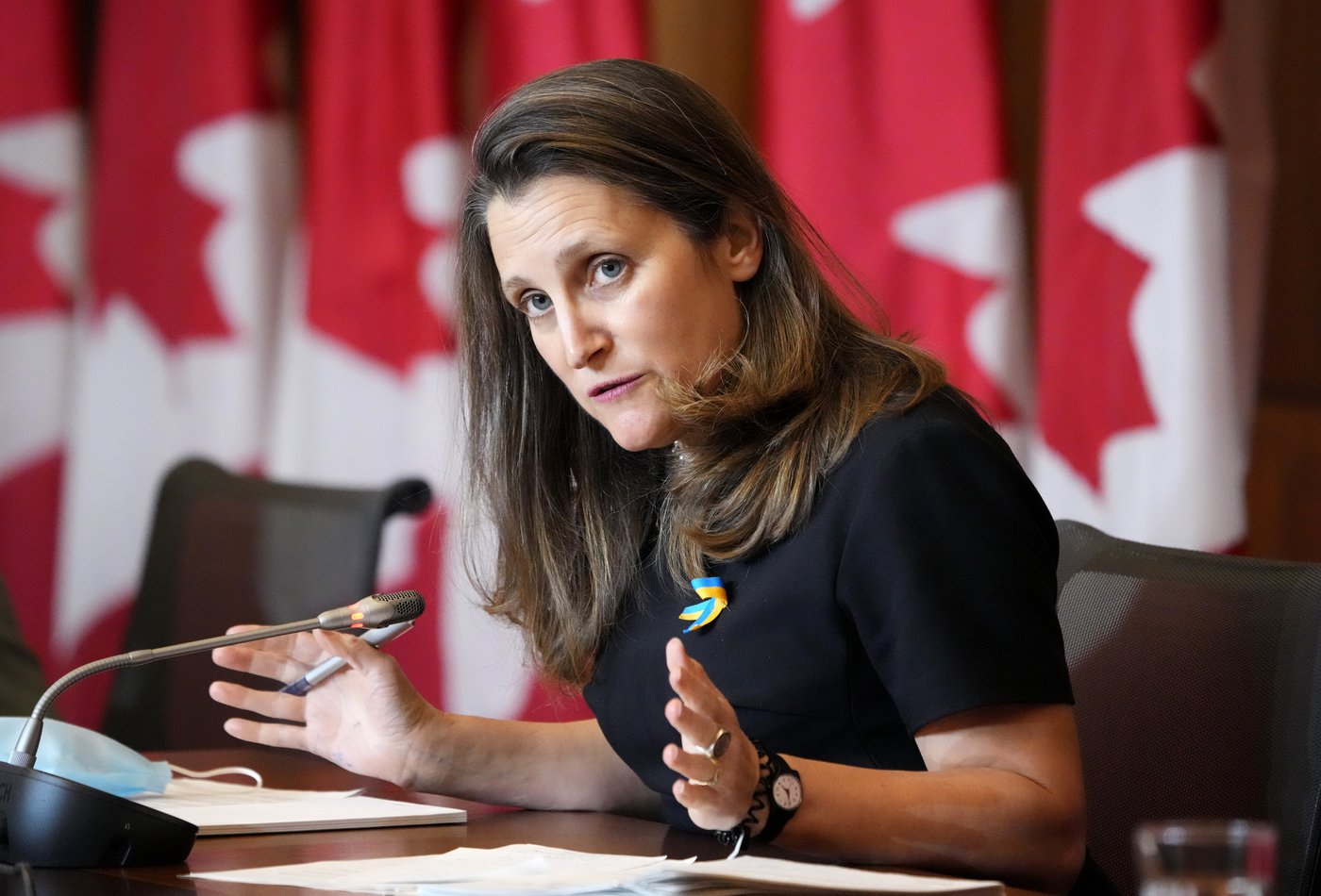 Freeland Touts Affordability Plan Based on Previous Spending Commitments - Vimarsana News