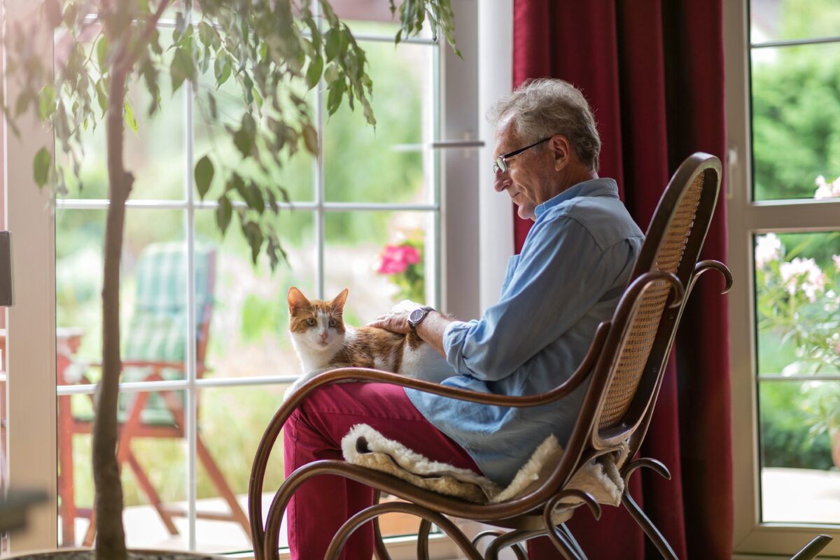 NextImg:Help Elderly Parent With Pet