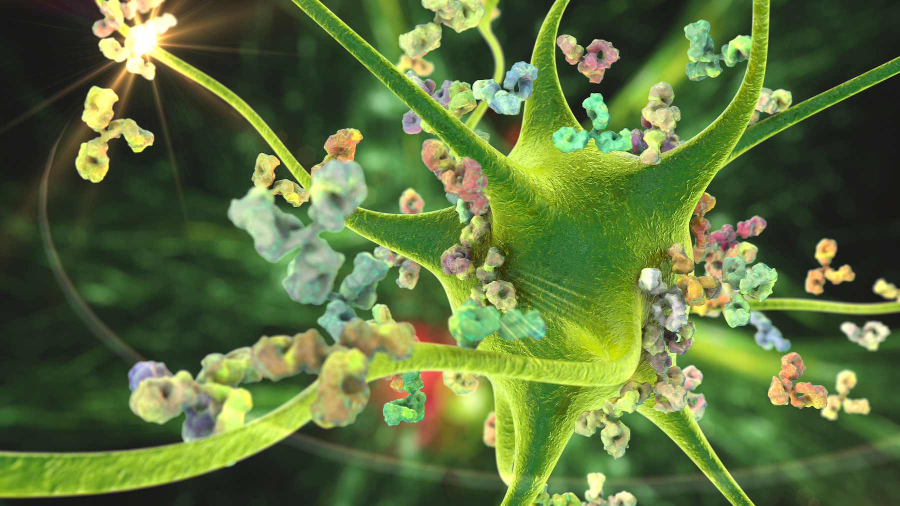 Natural Autoimmunity: Friend or Foe? - Vimarsana News