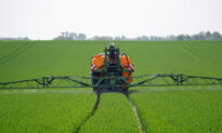 Glyphosate, What Is It, and How Does It Affect You