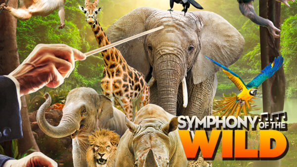 Symphony of the Wild