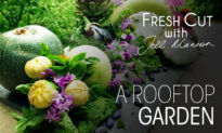 A Rooftop Garden | Fresh Cut